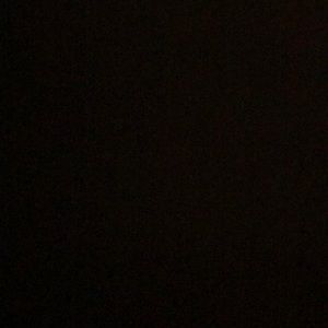 Meet your Posher, Daisy